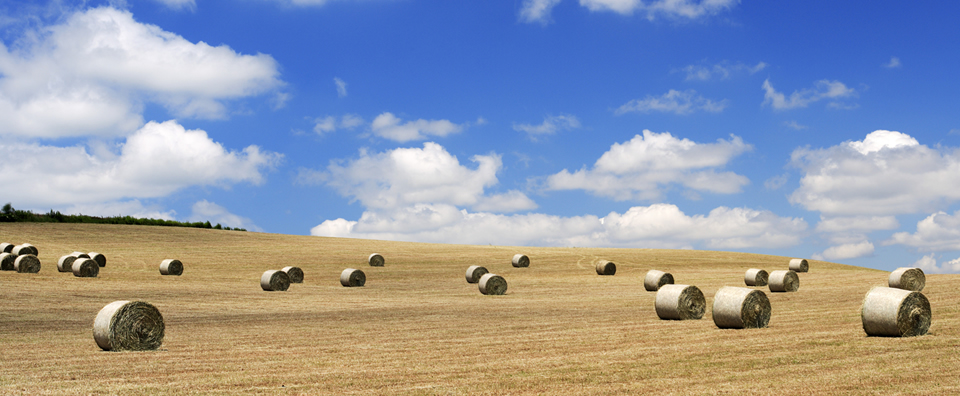 土壤污染状况调查